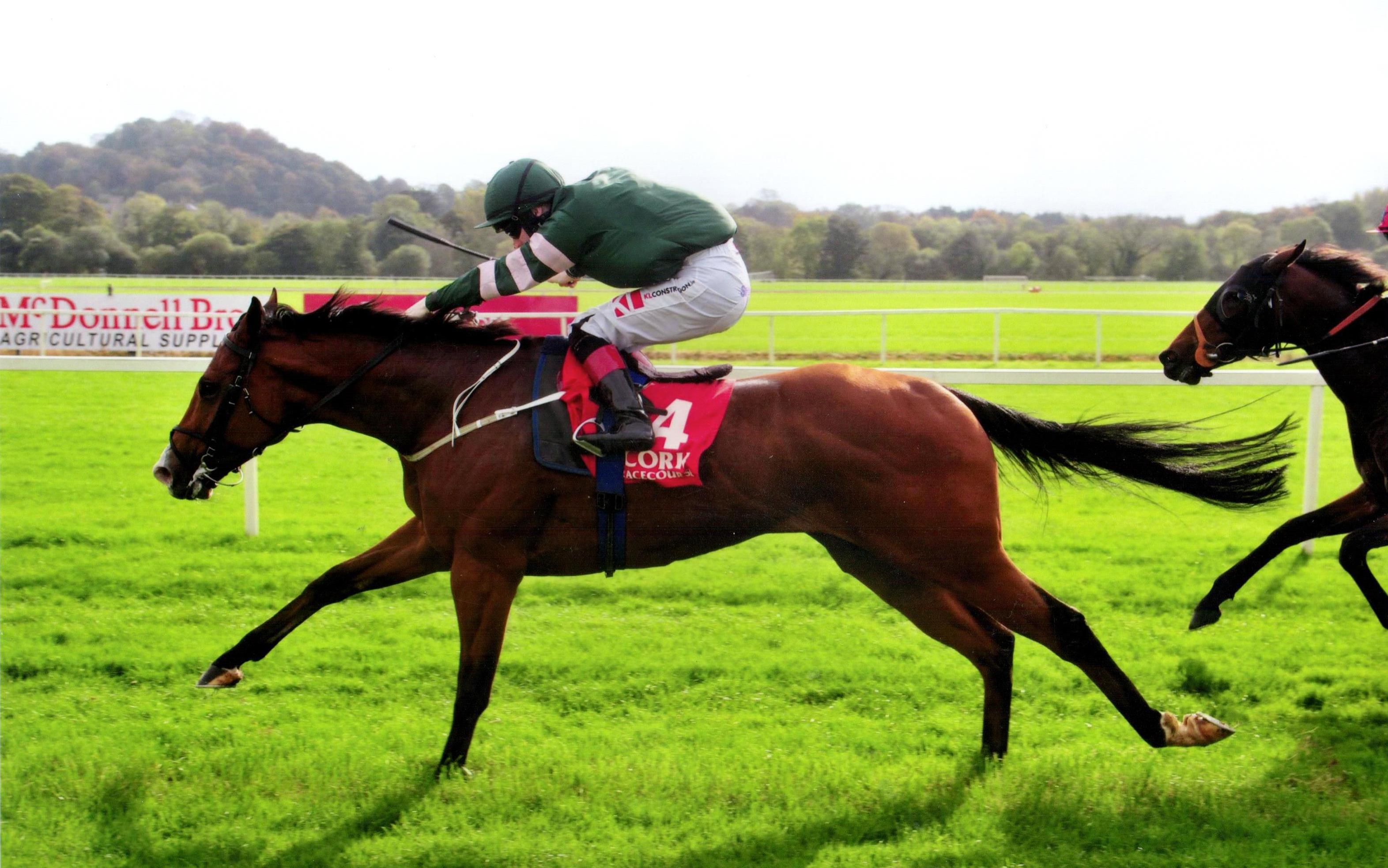CELEBRATION wins in impressive style at Cork 14th October 2017